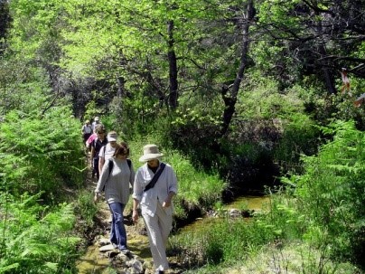 Hiking, trails & chapels Hiking, trails & chapels