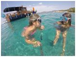Snorkeling Snorkeling