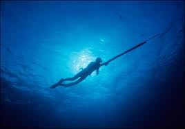 Spearfishing Spearfishing